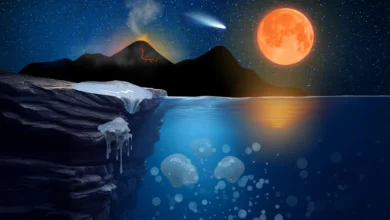 Живот је можда почео као лепљива маса која се лепила за камење