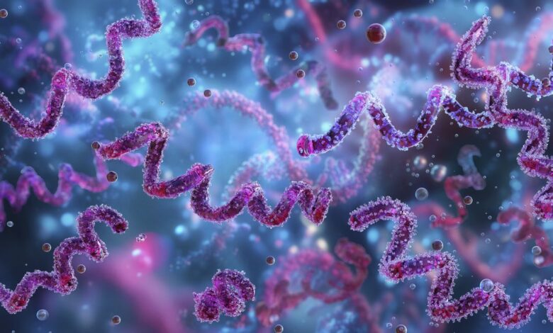 Дијагностичка дилема: необичан облик сифилиса 83-годишњег мушкарца имао је „несигуран“ извор Дијагностичка дилема: необичан облик сифилиса 83-годишњег мушкарца имао је „несигуран“ извор