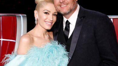 Блаке Схелтон, Гвен Стефани Фотографија за Дан заљубљених након гласина о разводу