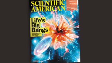 Читаоци одговарају на издање из новембра 2025