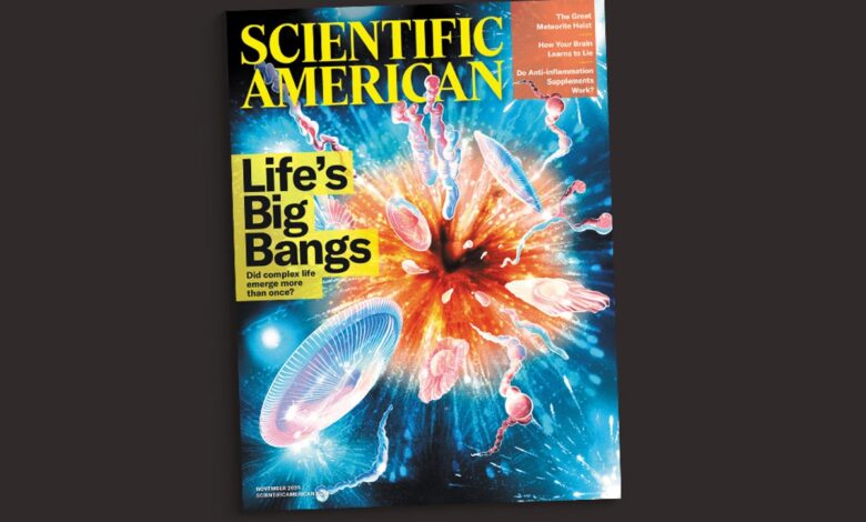 Читаоци одговарају на издање из новембра 2025