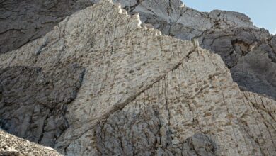 Фотограф проналази хиљаде отисака диносауруса из тријаса на стрмим планинским литицама