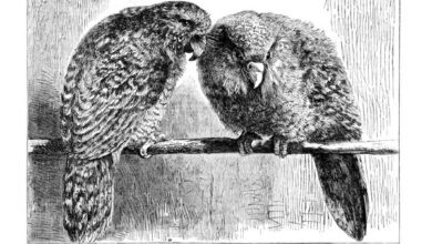 Март 2026: Историја науке од пре 50, 100 и 150 година