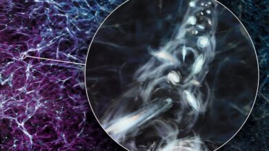 Астрономи примећују једну од највећих ротирајућих структура у универзуму