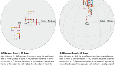 Овај математичар је доказао теорему случајног хода да би очистио своје име као вребања