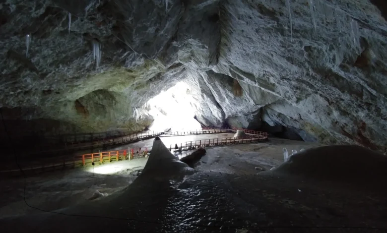 Замрзнута 5.000 година, ова бактерија ледене пећине одолева савременим антибиотицима