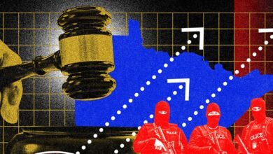 ИЦЕ руши амерички судски систем у Минесоти