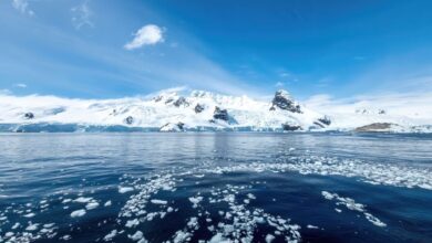 Ајкуле су званично стигле на Антарктик, а научници су потресени