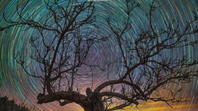 Циркумполарне звезде никада не излазе или залазе и зависе од географске ширине