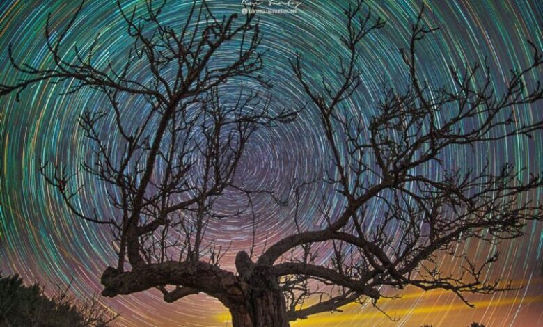 Циркумполарне звезде никада не излазе или залазе и зависе од географске ширине