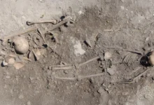 Древни ДНК решава мистерију сахране стару 5.500 година у Шведској