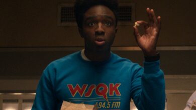 Звезда серије „Странгер Тхингс“ Цалеб МцЛаугхлин назива финалну теорију обожаватеља „глупом“