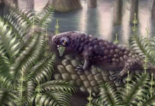 Ова древна животиња била је једна од првих која је јела биљке на копну