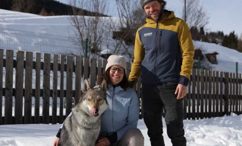 Како је вучји пас Назгул успео да трчи за Винтер О: НПР
