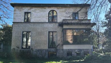 Олимпијске песме, пси и прославе лунарне Нове године : НПР Олимпијске песме, пси и прославе лунарне Нове године : НПР