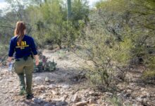 Како форензичка истражна генетска генеалогија може помоћи у претраживању: НПР