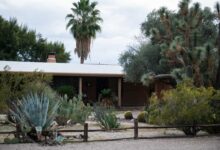 Како употреба вештачке интелигенције и ‘деепфакес’ играју улогу у потрази за Ненси Гатри: НПР