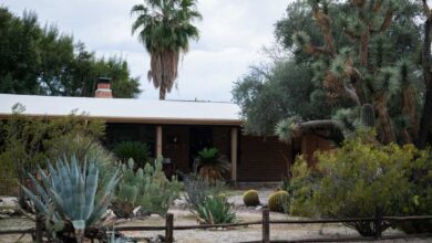 Како употреба вештачке интелигенције и ‘деепфакес’ играју улогу у потрази за Ненси Гатри: НПР