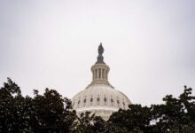 Двостраначки напори да се сачувају здравствене субвенције нису успели. Да ли ће реформа ИЦЕ бити другачија? : НПР