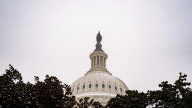 Двостраначки напори да се сачувају здравствене субвенције нису успели. Да ли ће реформа ИЦЕ бити другачија? : НПР