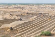 Кина је засадила толико дрвећа око пустиње Такламакан да је ову ‘биолошку празнину’ претворила у понор угљеника