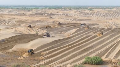 Кина је засадила толико дрвећа око пустиње Такламакан да је ову ‘биолошку празнину’ претворила у понор угљеника