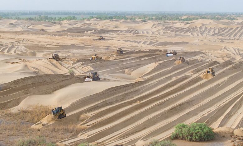 Кина је засадила толико дрвећа око пустиње Такламакан да је ову ‘биолошку празнину’ претворила у понор угљеника