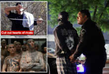 Унутарњи успон ‘супер банде’ ЛА уједињене мафијашким пактом и меким законима