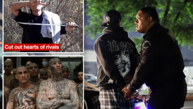 Унутарњи успон ‘супер банде’ ЛА уједињене мафијашким пактом и меким законима