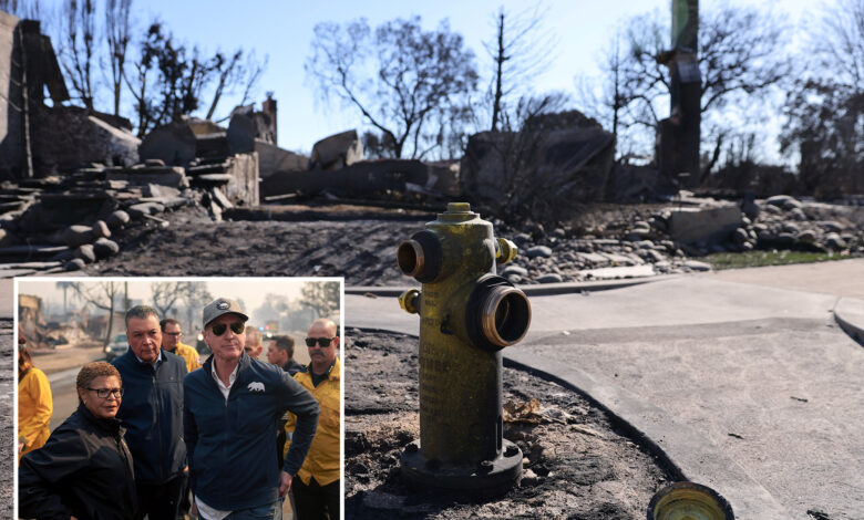 Судија отвара пут за мега тужбу која окривљује ЛА и Калифорнију за смртоносни пожар Палисадес