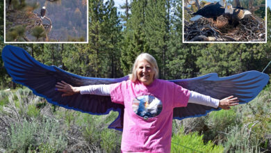 Глас чувеног Великог медведа, ћелавог орла, трагично је преминуо