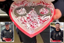 СоЦал полицајци организују посебан састанак за Валентиново са вашим бившим злочинцем — и то укључује лисице