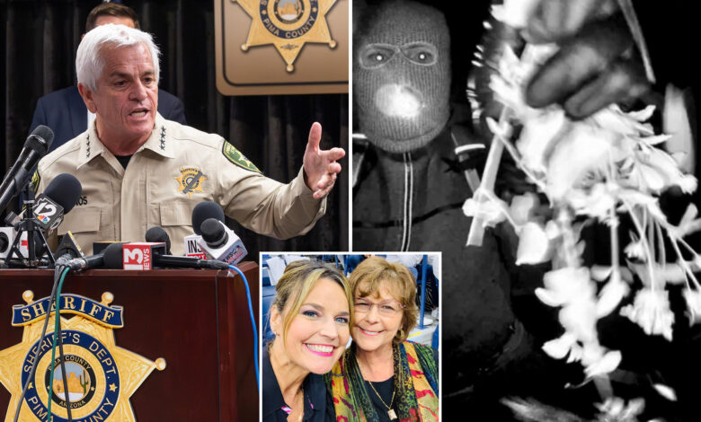 Шериф Аризоне Крис Нанос узвратио је тврдњама да блокира ФБИ од кључних доказа у случају Ненси Гатри