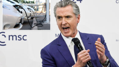 Невсом назива поништавање климе ‘смртном казном’ за произвођаче аутомобила