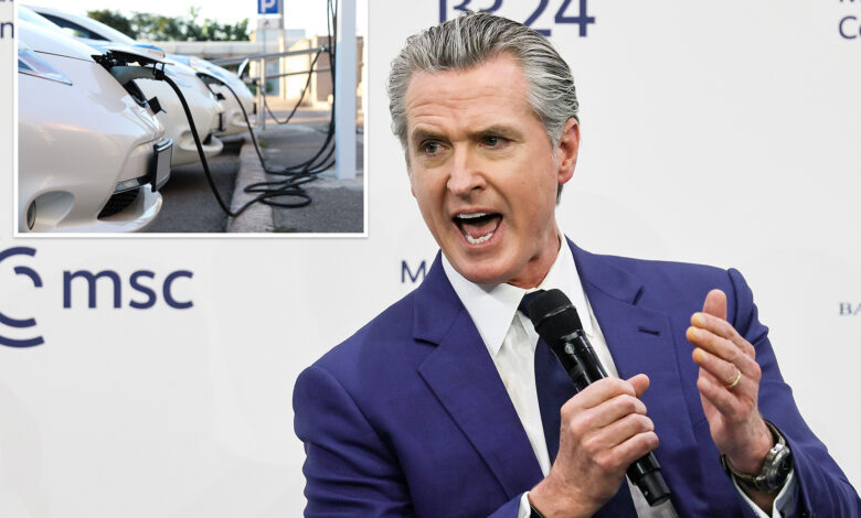 Невсом назива поништавање климе ‘смртном казном’ за произвођаче аутомобила