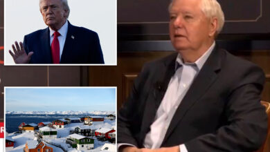 ‘Кога је брига ко је власник Гренланда?’ ‘Кога је брига ко је власник Гренланда?’