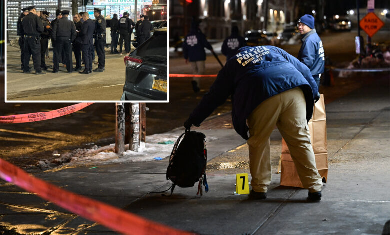 Тинејџер (17) ухапшен под оптужбом за убиство у пуцњави у Бронксу у којој је убијен 16-годишњак