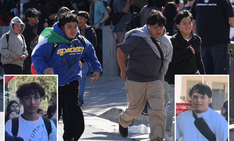 Група крајње левице позива студенте из Лос Анђелеса да се побуне пошто је официр ИЦЕ напао