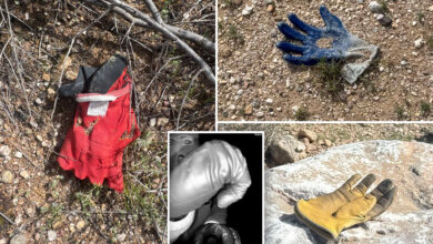 Тхе Пост је пронашао више додатних рукавица у истој области у близини куће Ненси Гатри где је ФБИ пронашао потенцијалне доказе Тхе Пост је пронашао више додатних рукавица у истој области у близини куће Ненси Гатри где је ФБИ пронашао потенцијалне доказе