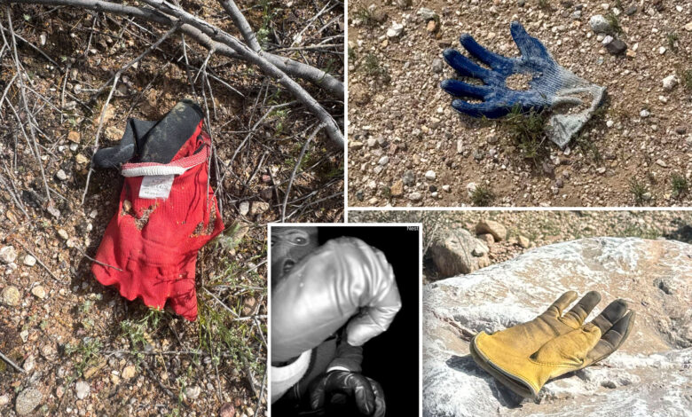 Тхе Пост је пронашао више додатних рукавица у истој области у близини куће Ненси Гатри где је ФБИ пронашао потенцијалне доказе
