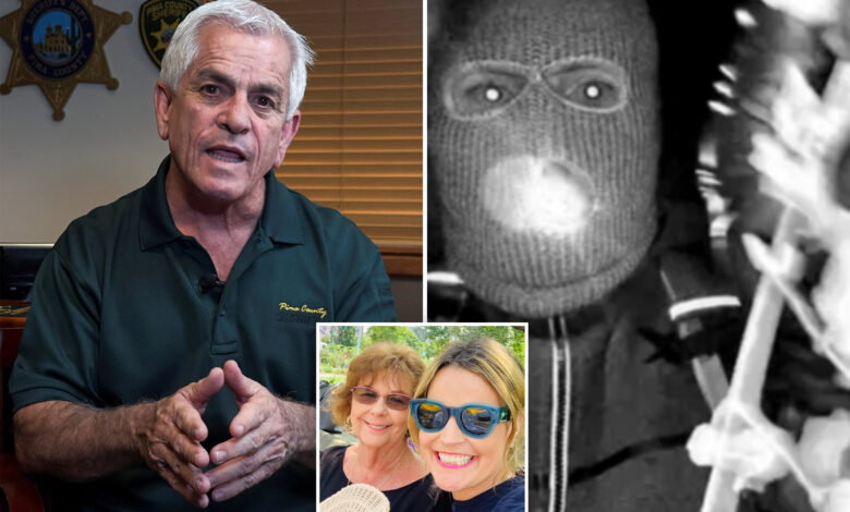 Шериф из Аризоне Крис Нанос који води потрагу за Ненси Гатри, искључује теорију да је њен нестанак био провала.