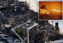 Становници Алтадене у зони пожара Еатон противе се СоЦал Едисоновом плану за скупе подземне далеководе