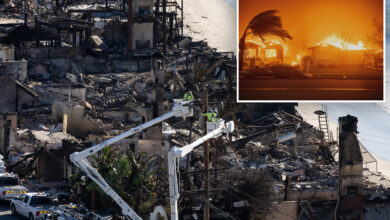 Становници Алтадене у зони пожара Еатон противе се СоЦал Едисоновом плану за скупе подземне далеководе