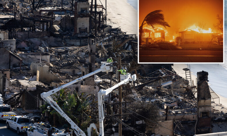 Становници Алтадене у зони пожара Еатон противе се СоЦал Едисоновом плану за скупе подземне далеководе