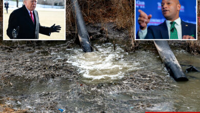 Поопи Потомац Ривер смрди на Трампову свађу са гувернером Весом Муром