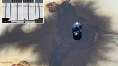 Званичници: Клизалиште Трамп-Кенеди центра заливено „токсичним хемикалијама“ у „циљаном“ нападу