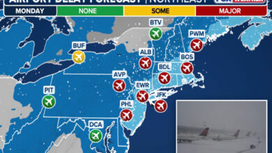 Аеродроми у Њујорку отказали 3000 летова уочи зимске олује Ернандо историјске мећаве Аеродроми у Њујорку отказали 3000 летова уочи зимске олује Ернандо историјске мећаве