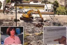 Преживели ватрогасци Палисадес бесни након што су добили казне за чишћење четке