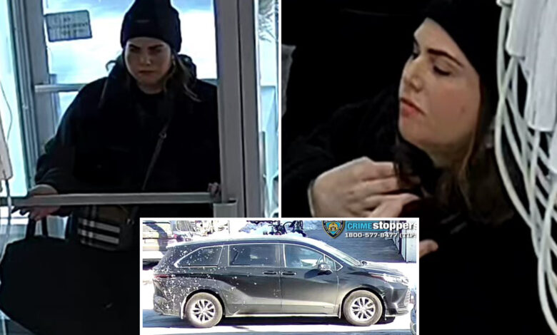 Дрски крадљивац у црном украо скоро 100 хиљада долара у накиту из продавнице у Њујорку: полицајци Дрски крадљивац у црном украо скоро 100 хиљада долара у накиту из продавнице у Њујорку: полицајци