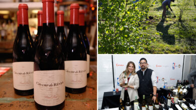 Још један калифорнијски вински гигант затвара локацију и секира особље док хаос завлада долином Напа